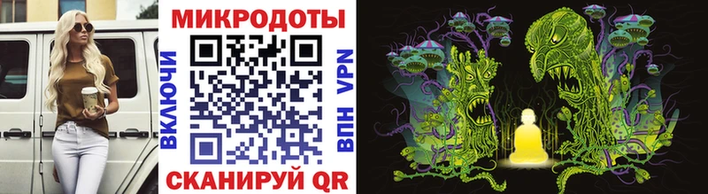 магазин    Лабытнанги  Галлюциногенные грибы Cubensis 